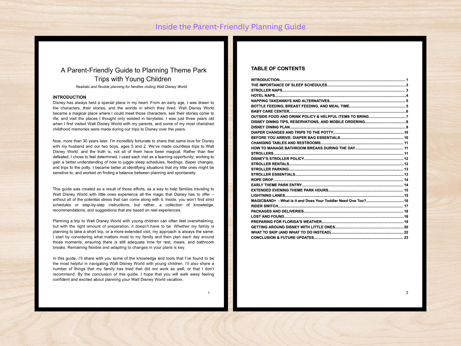 Theme Park Guide Listing.png