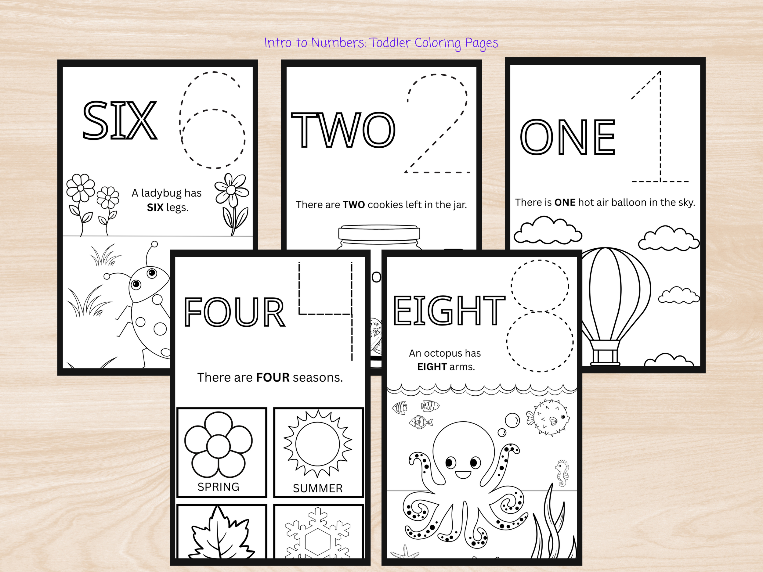 Intro to Numbers Product Listing.png