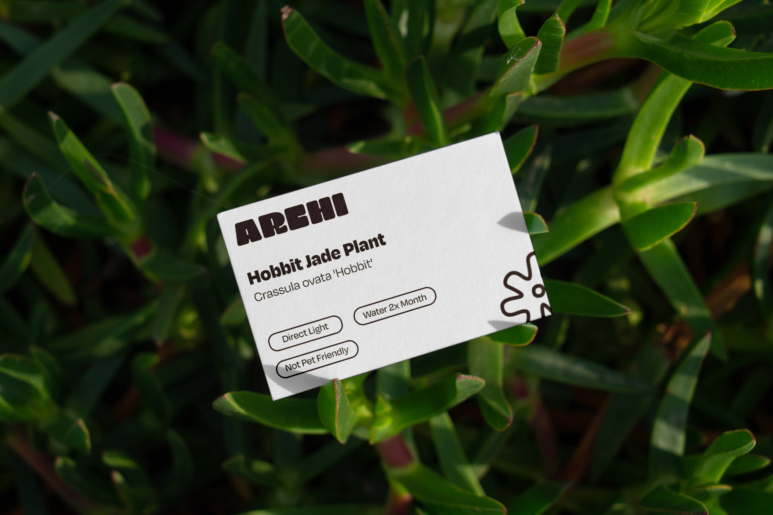 PlantTag01.jpg