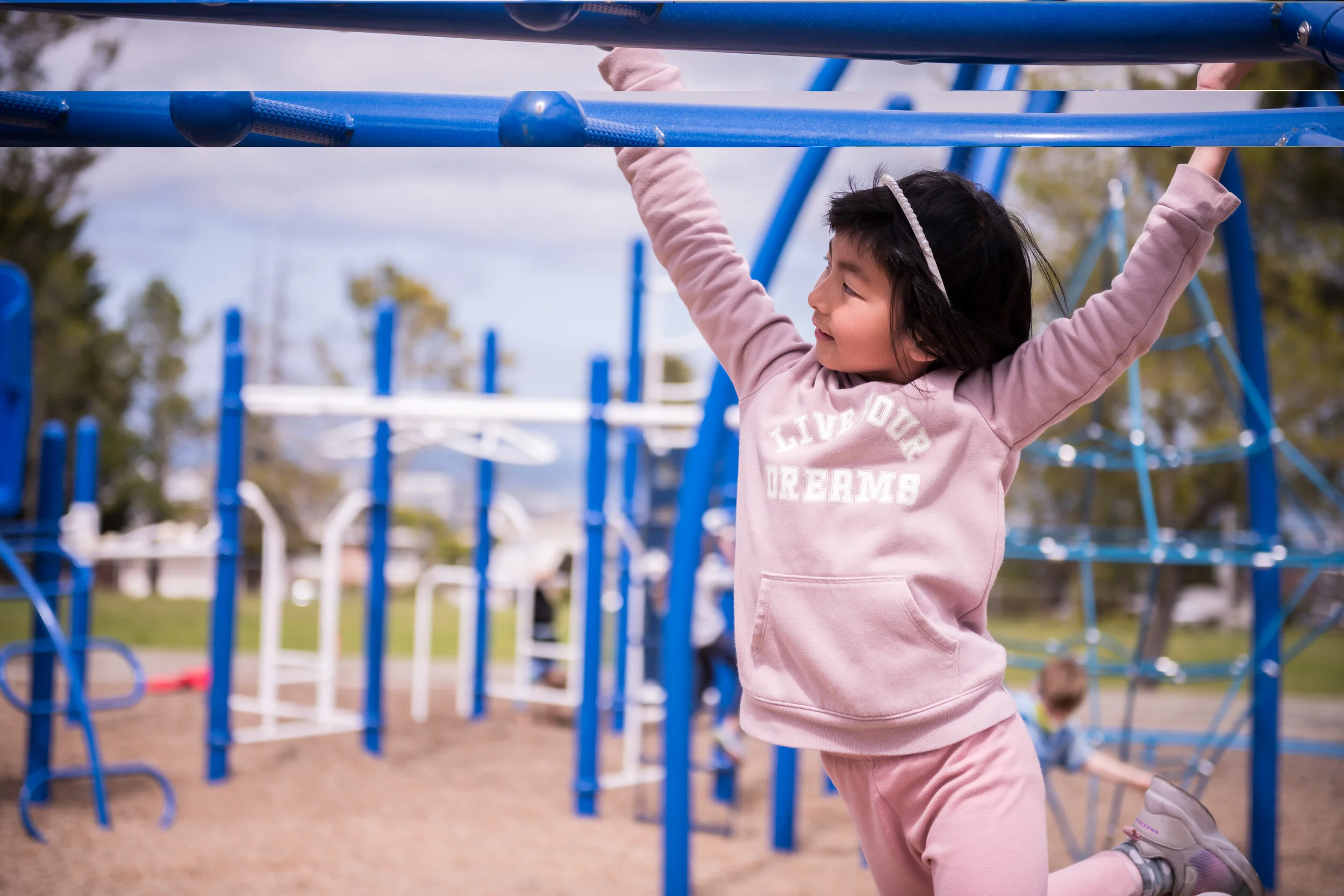 Reach Monkey Bars.jpg