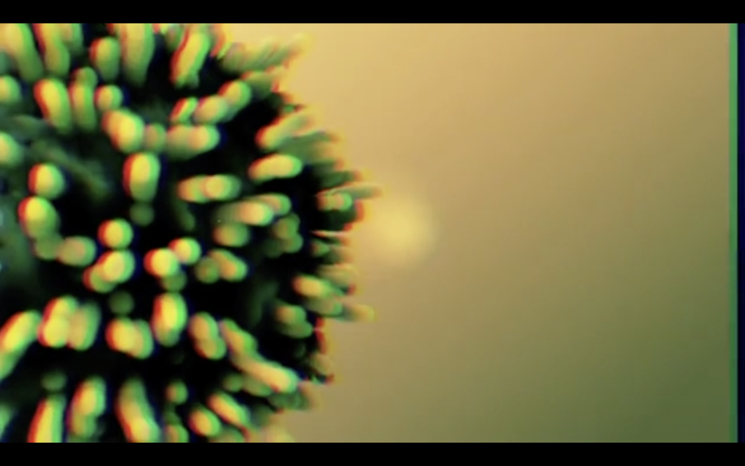 Screenshot 2024-01-02 at 9.49.45 p.m..png