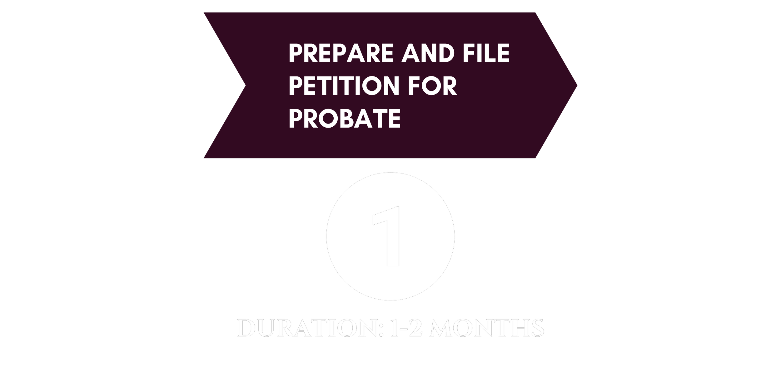 Court hearing on the Petition for Probate (9).png