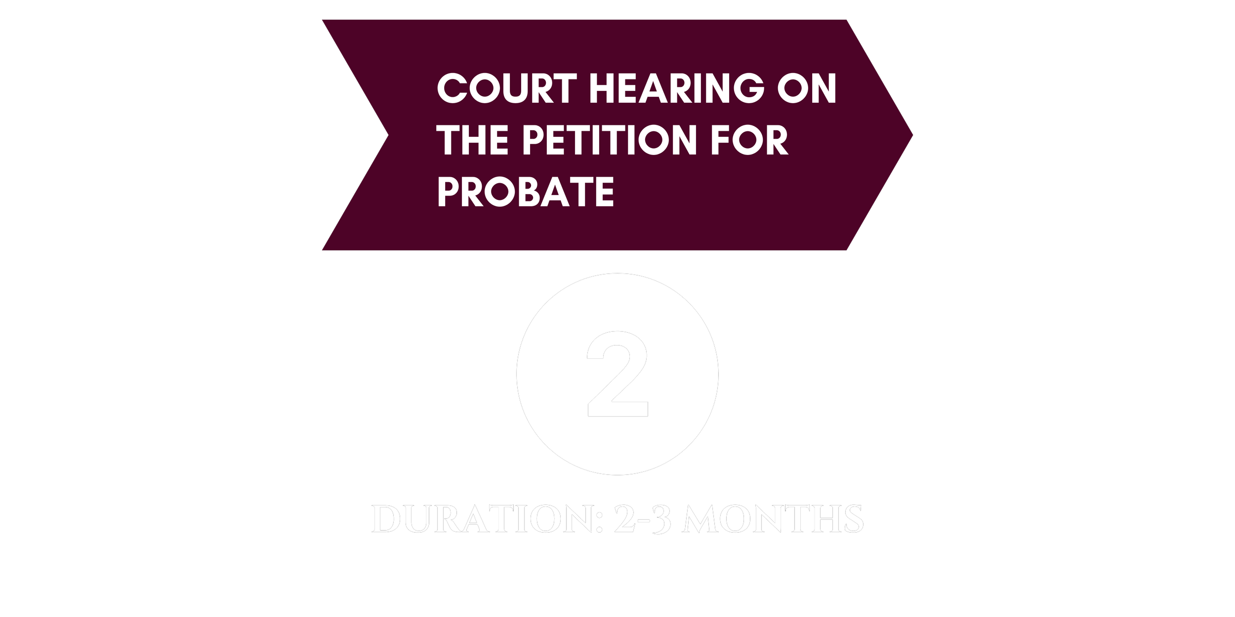 Court hearing on the Petition for Probate (10).png