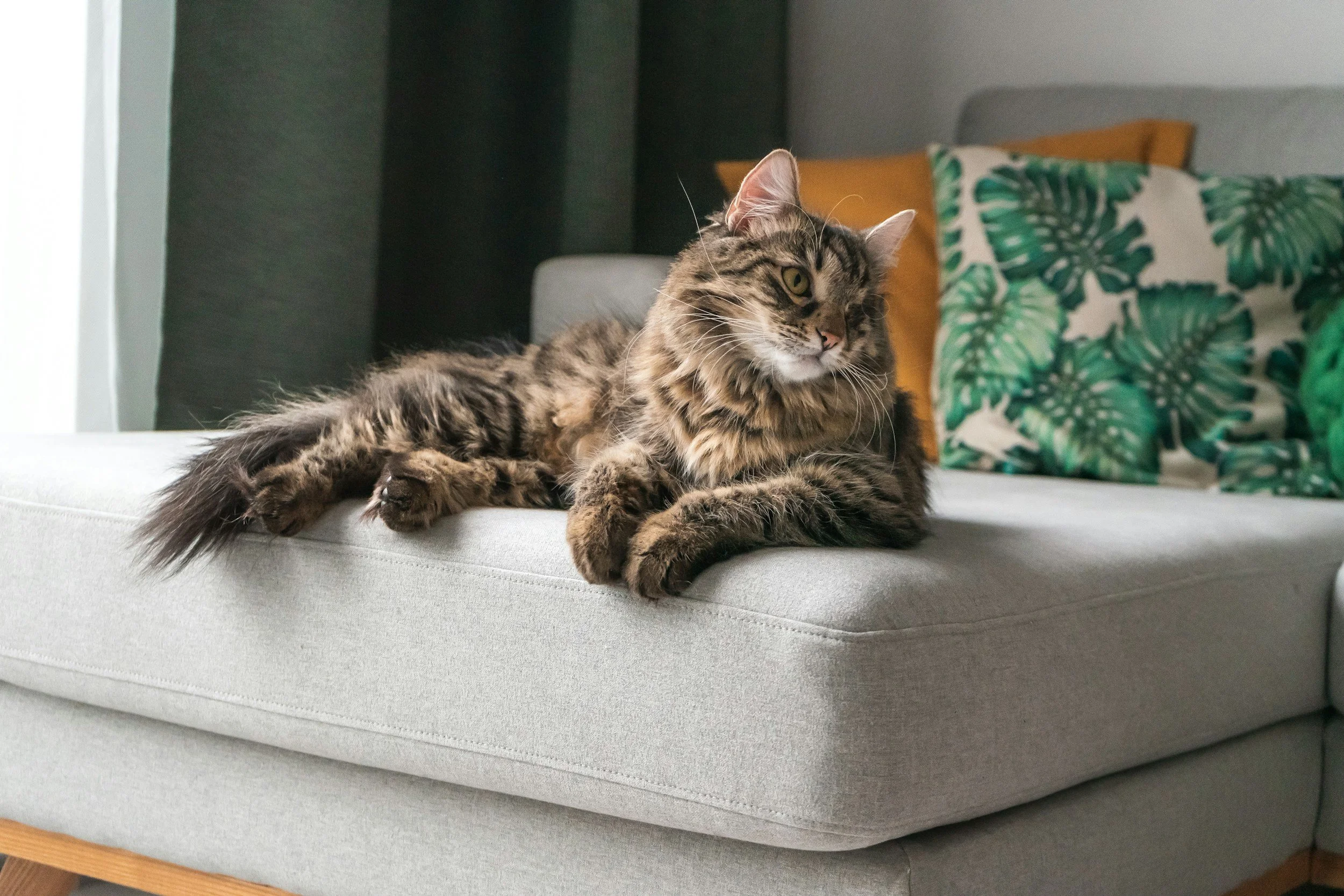 How I Handle Probate Properties With Active Tenants or Month-to-Month Renters Before the Sale