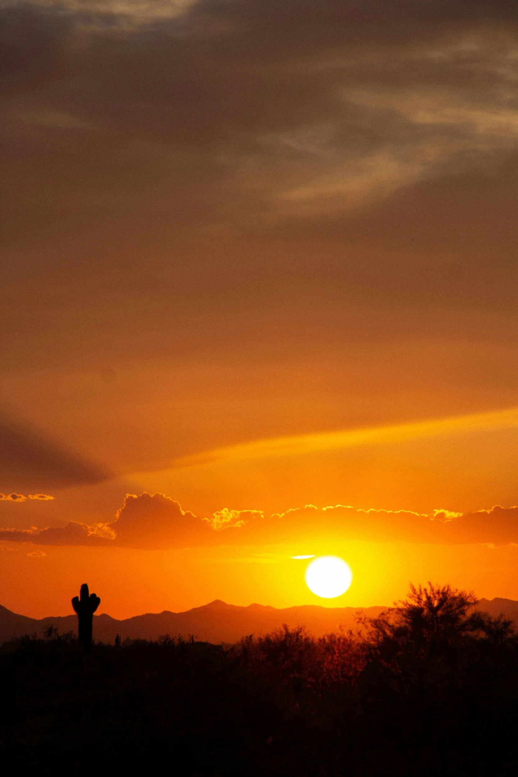 How I Help When the Probate Sale Falls Out of Escrow and the Estate Has to Relist