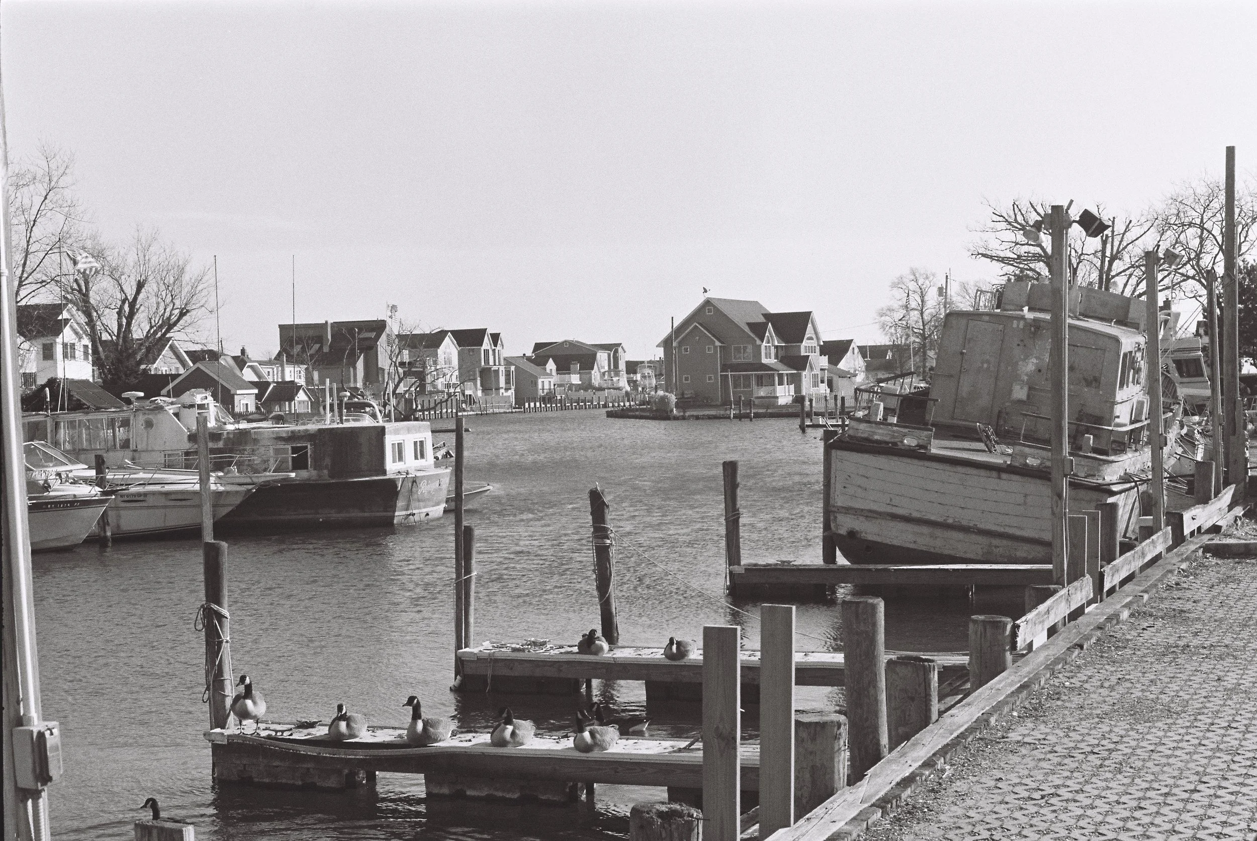 Laino006991-R1-E011_Original.jpg