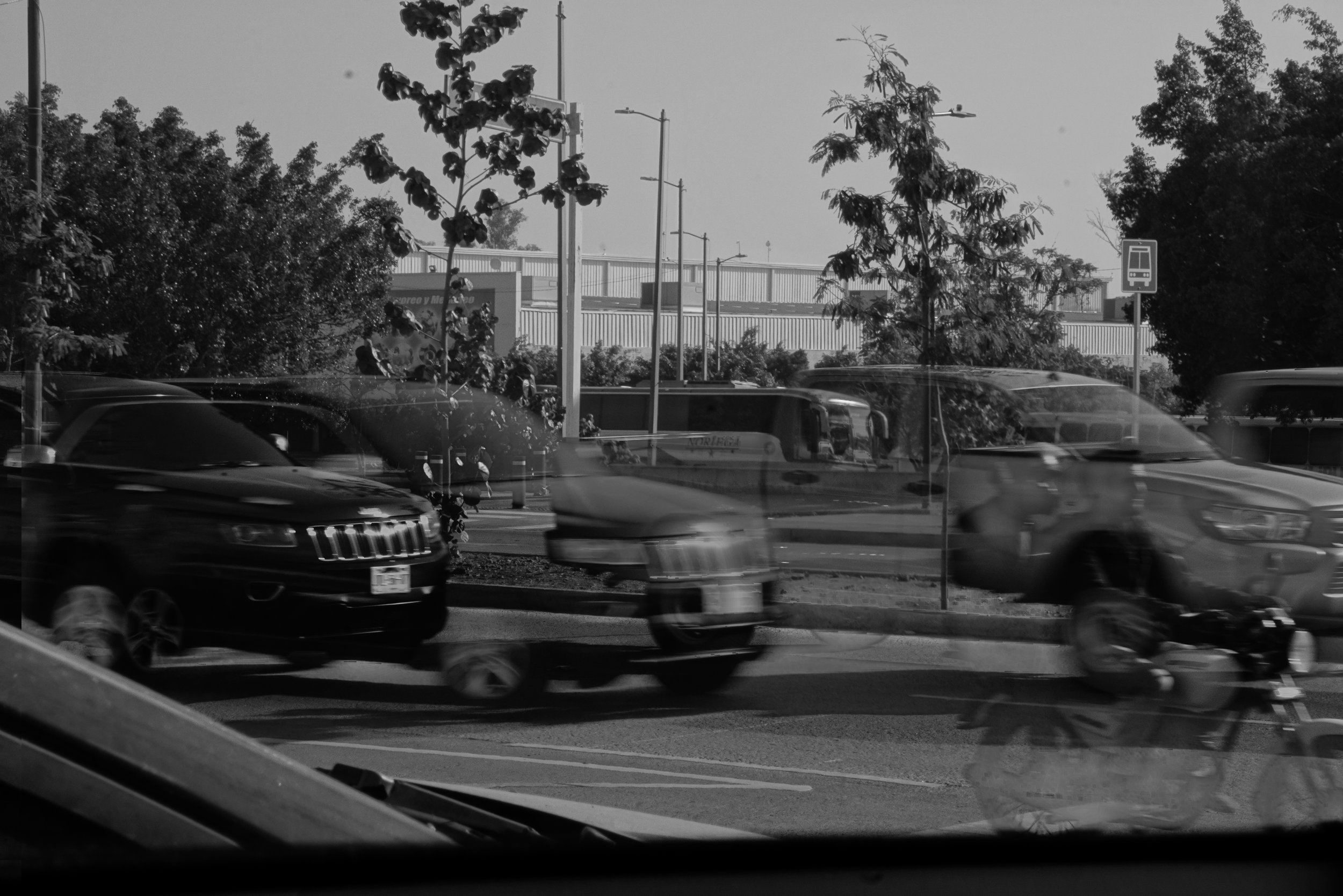 DSC09571.jpeg