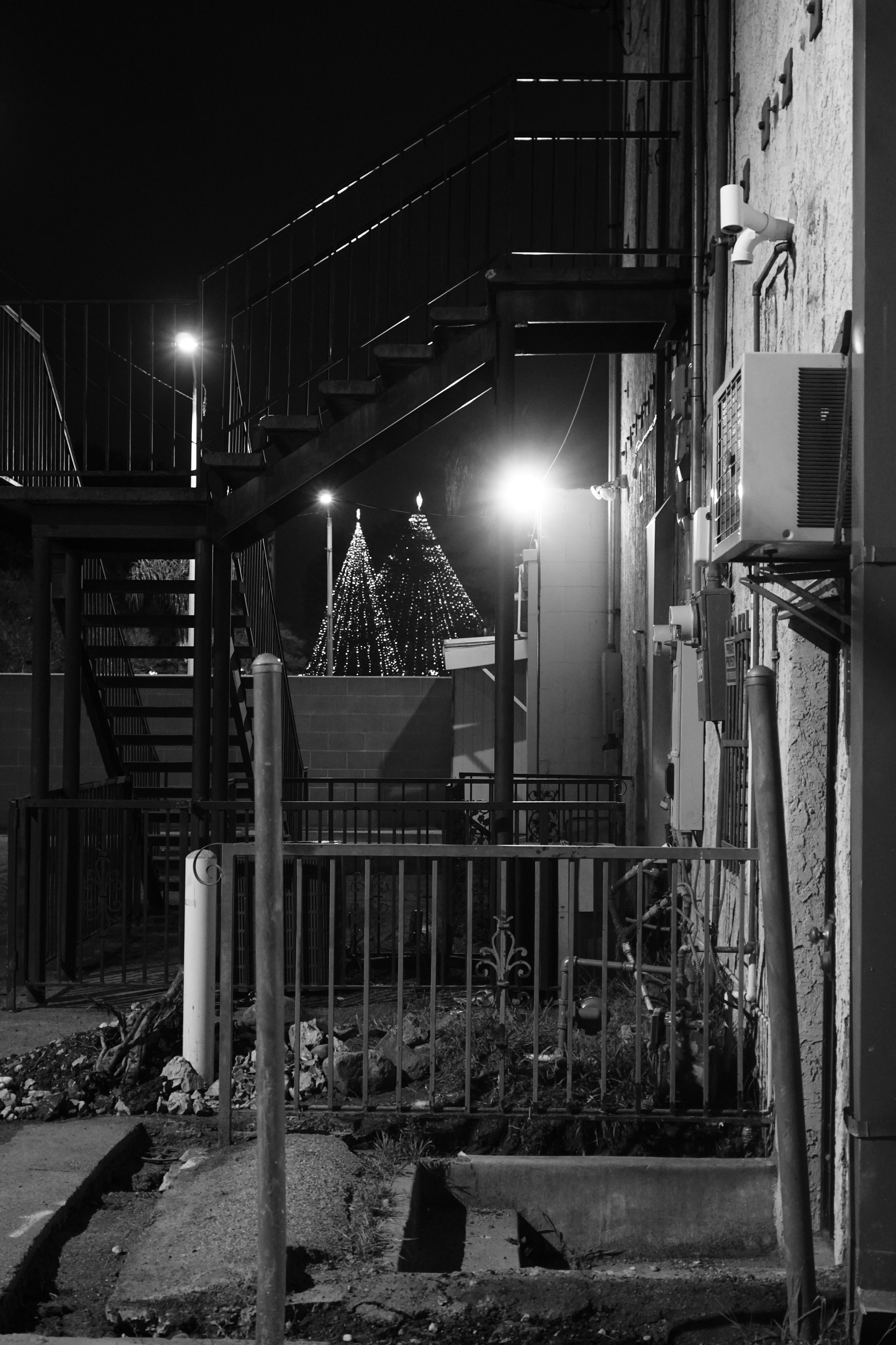 DSC09929.jpeg