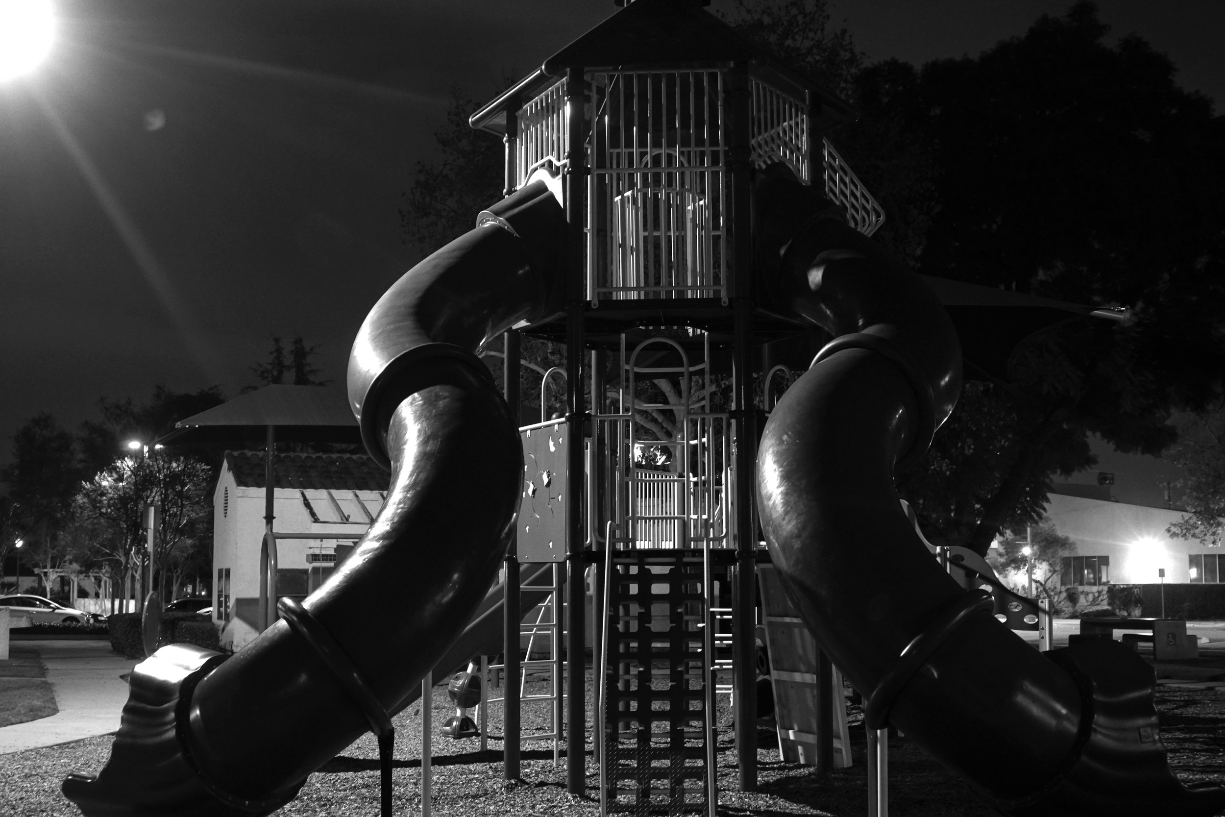 DSC09970.jpeg