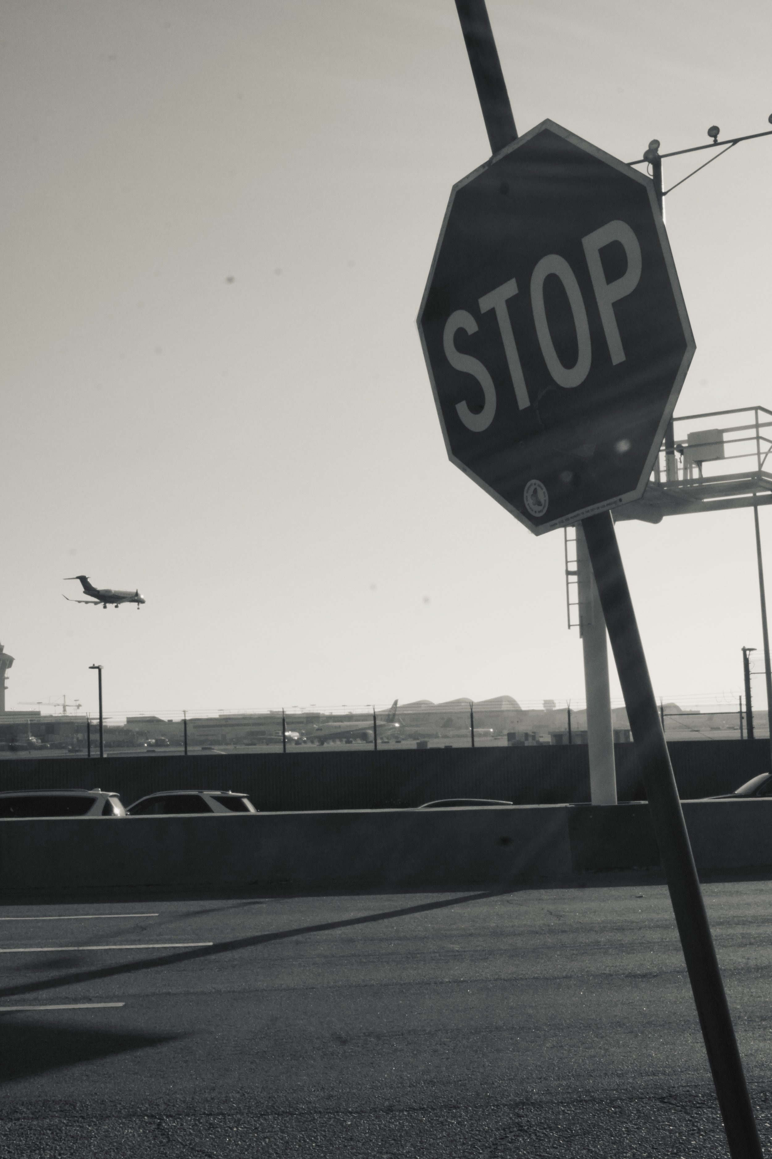 DSC08740.jpeg