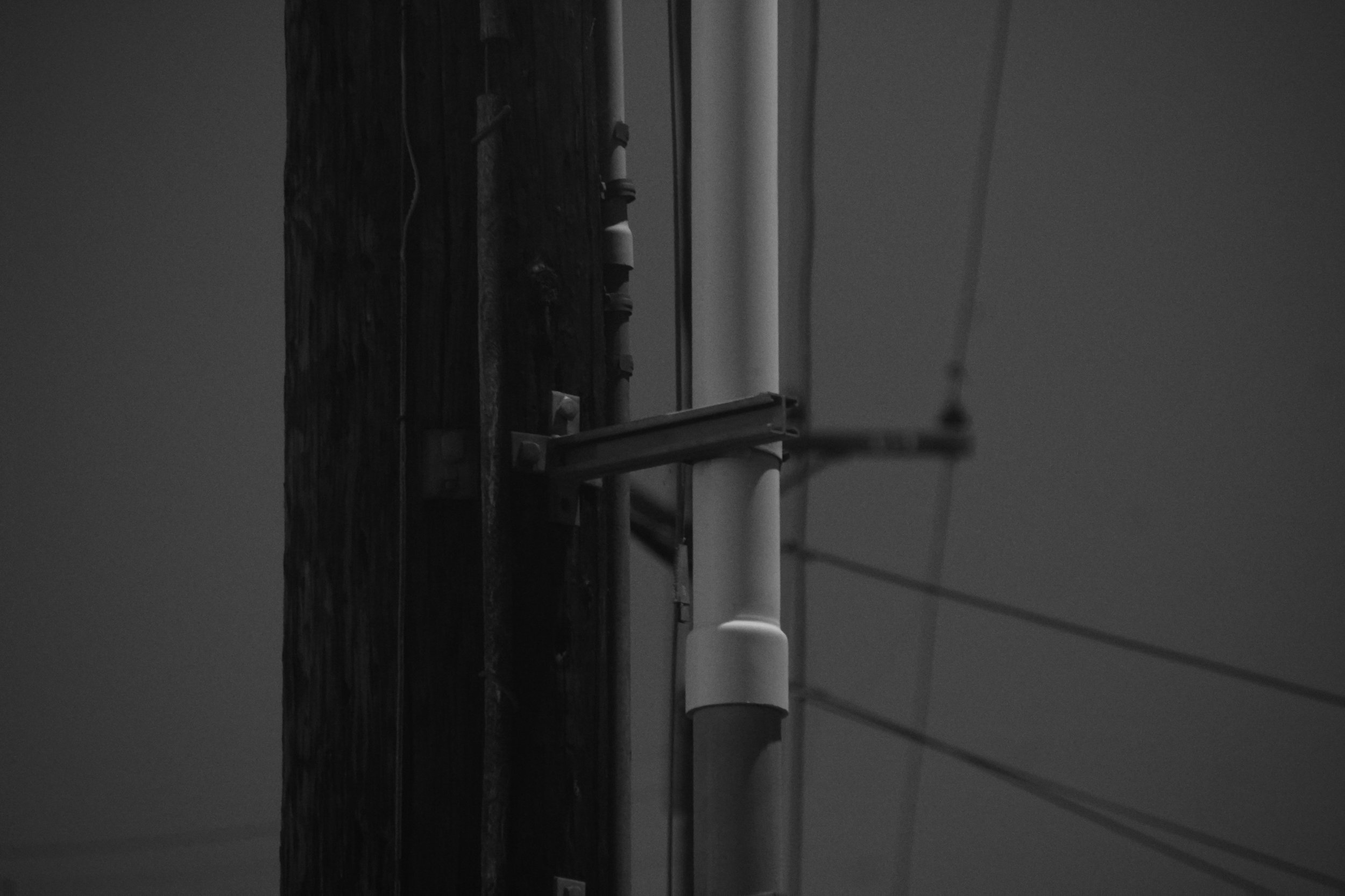 DSC09852.jpeg