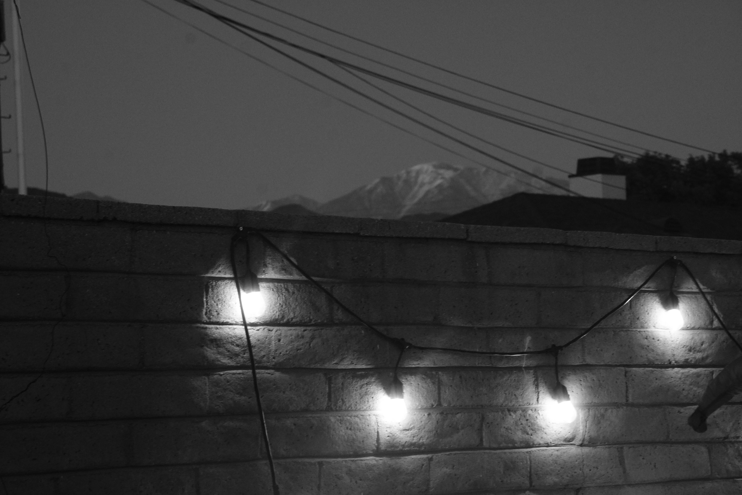 DSC09829.jpeg