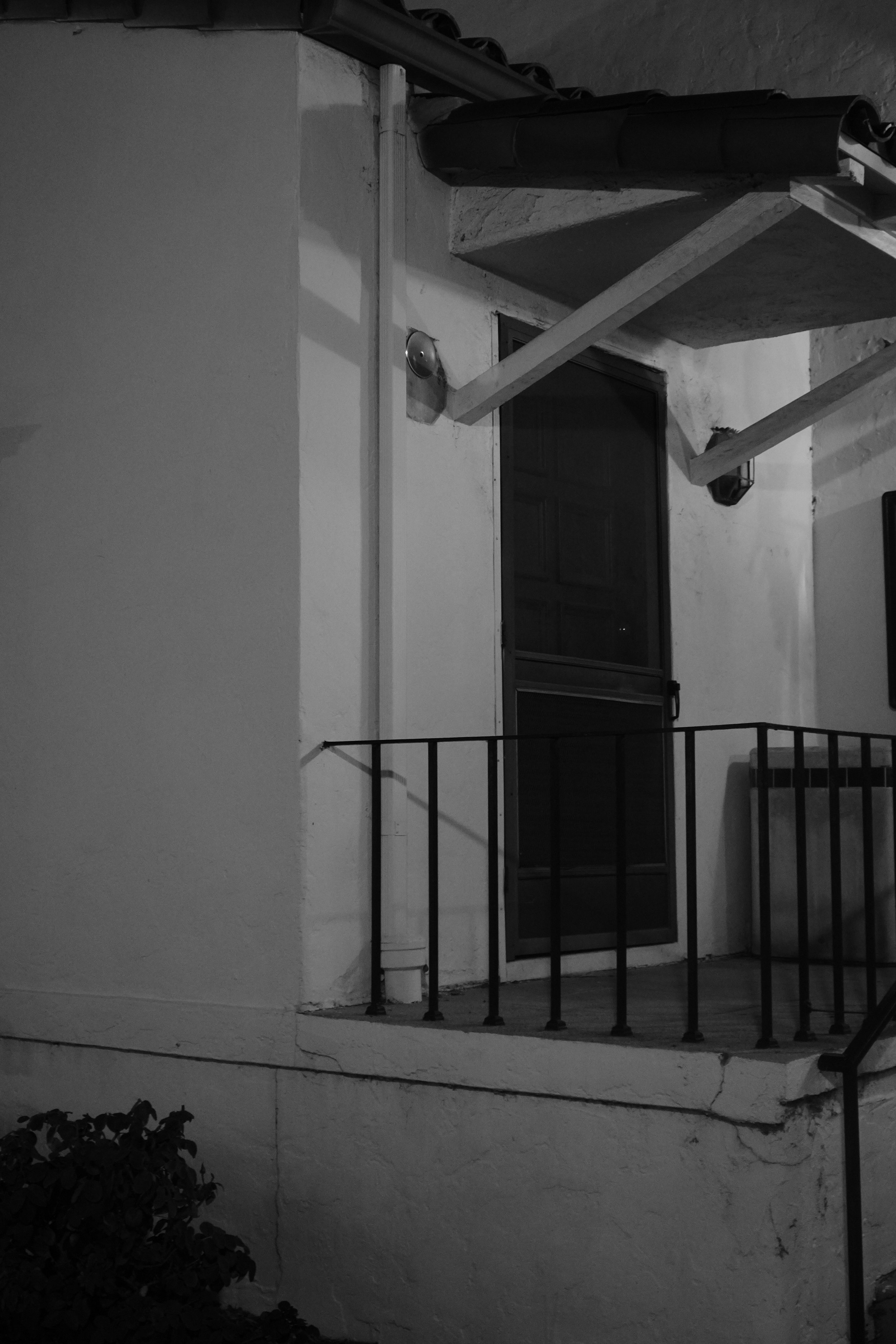 DSC09941.jpeg