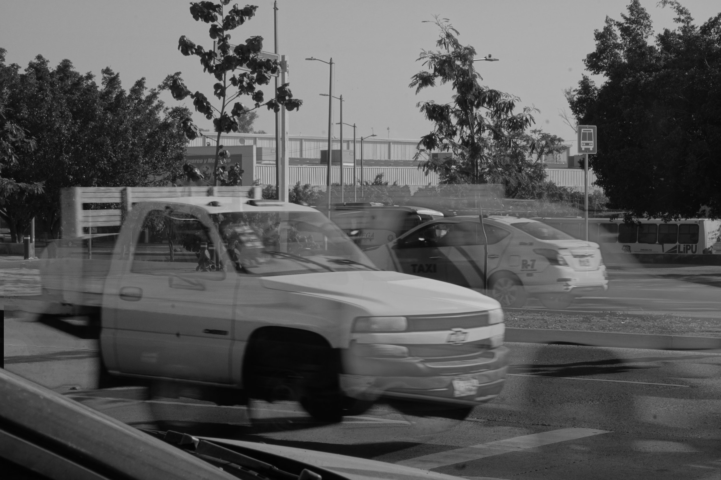 DSC09569.jpeg