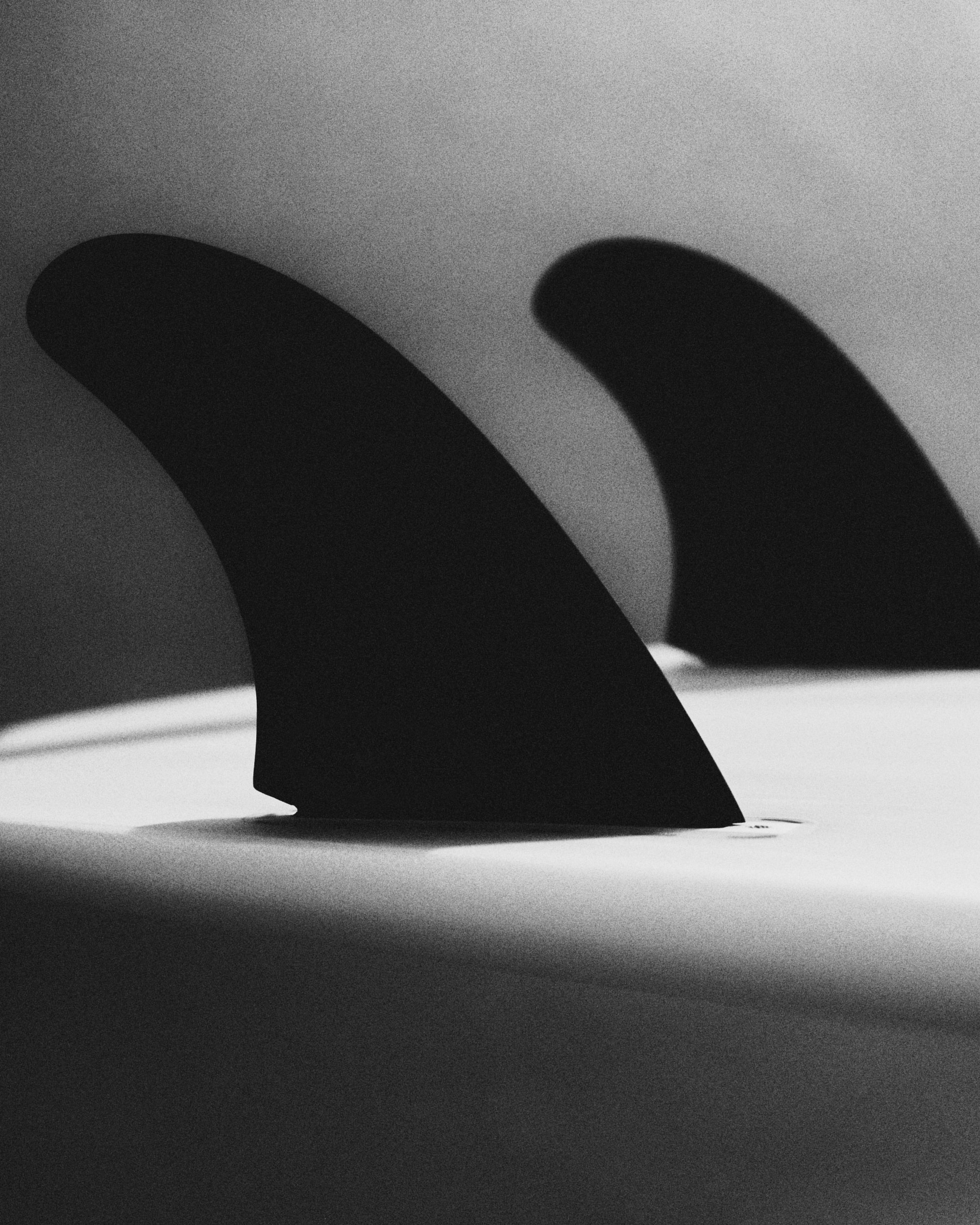 MY SURFBOARD2588.jpg