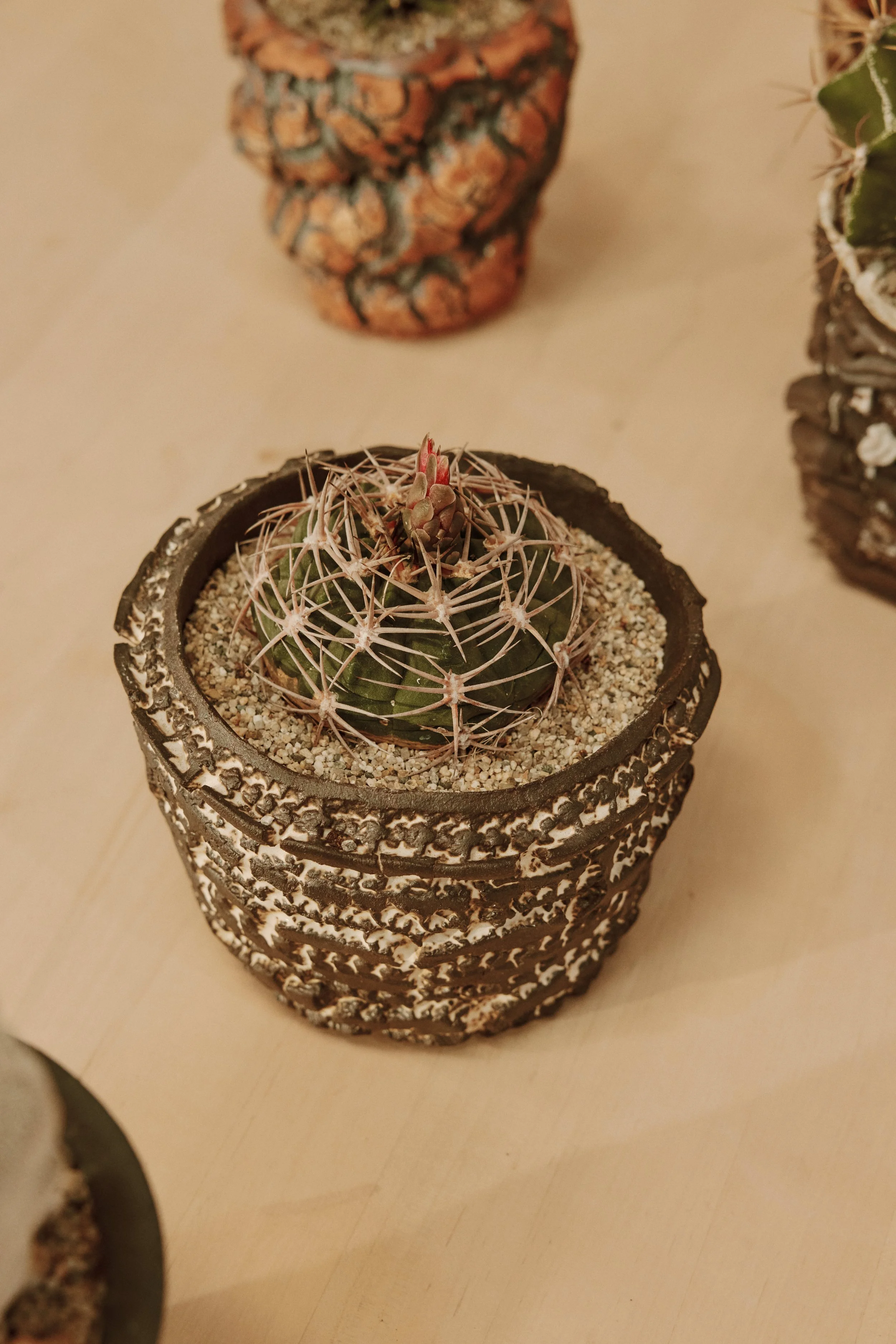 SUCCY.CERAMICS102.jpg