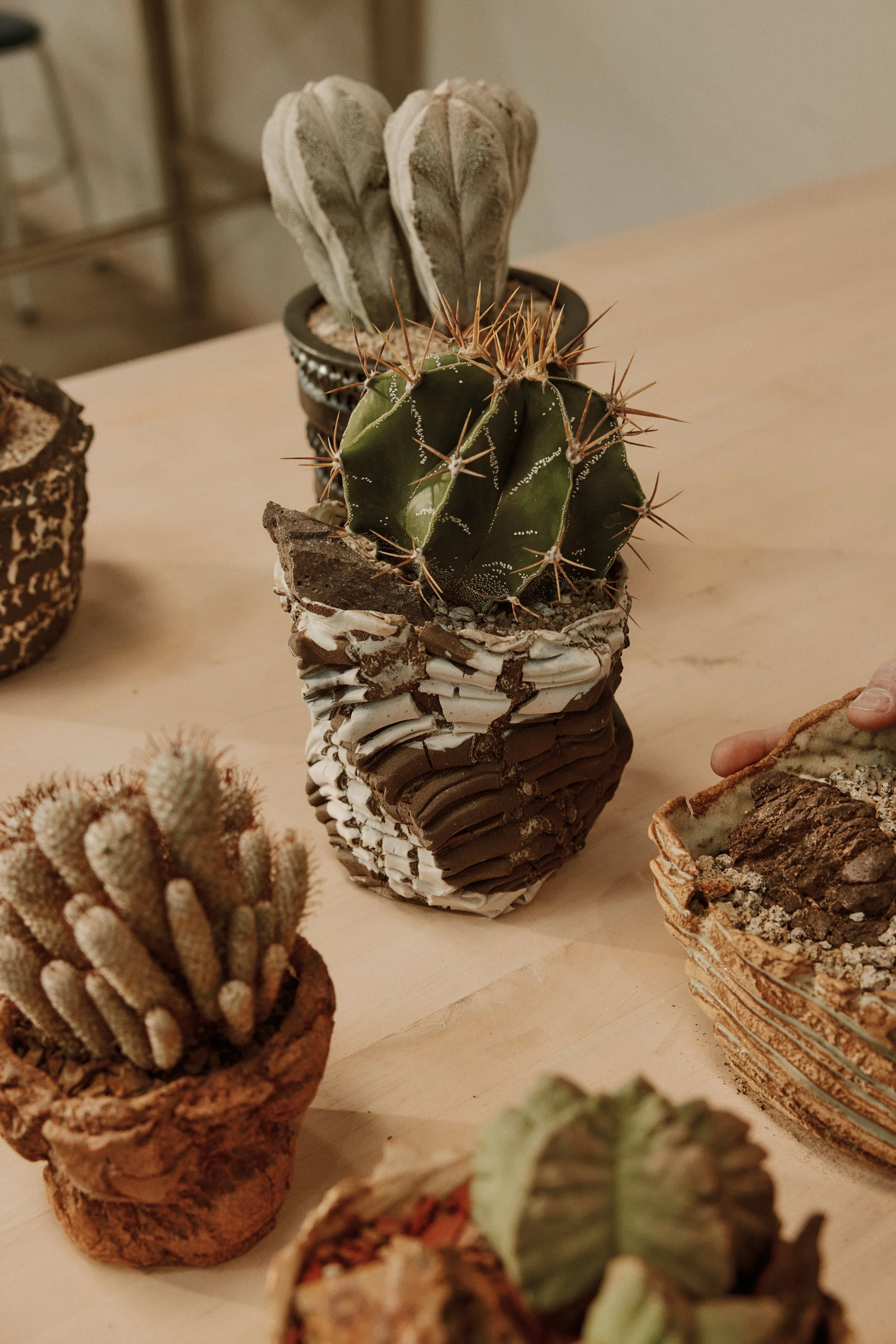 SUCCY.CERAMICS107.jpg