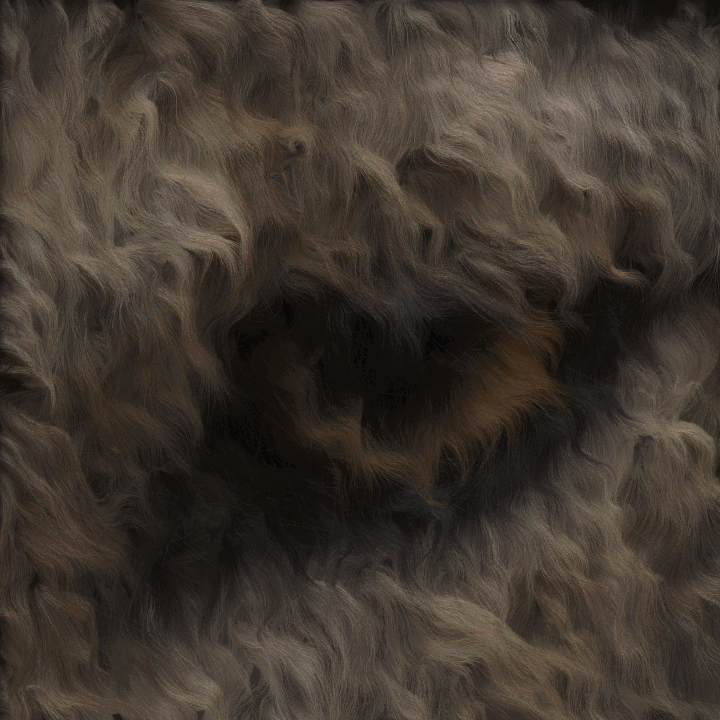 gray wolf eye fur.gif