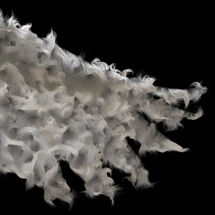 crane feathers right fur.gif