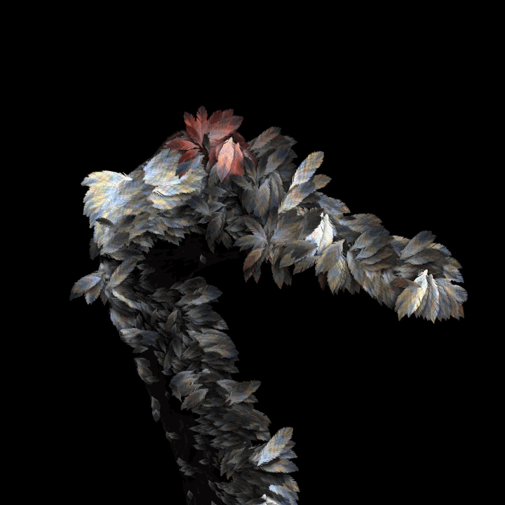 crane head feathers.gif