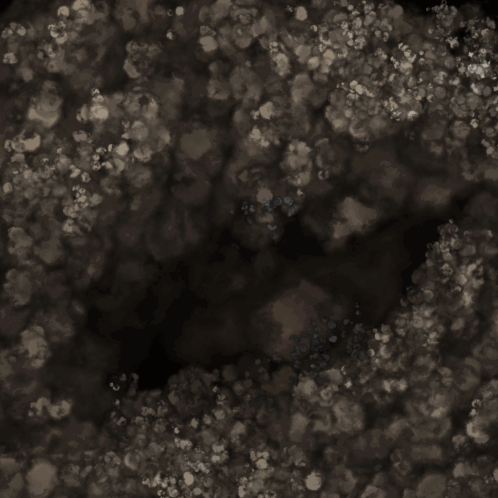 gray wolf eye smoke.gif