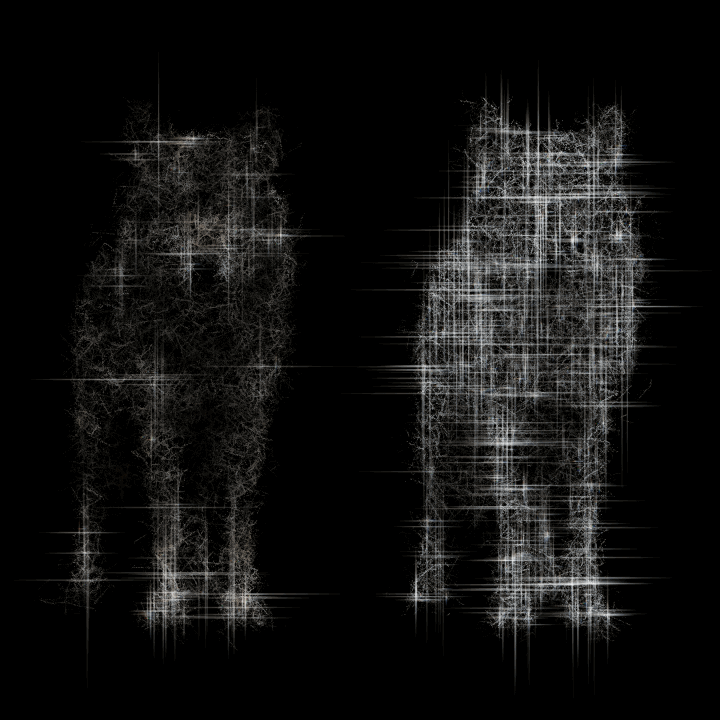 dual wolf noise.gif