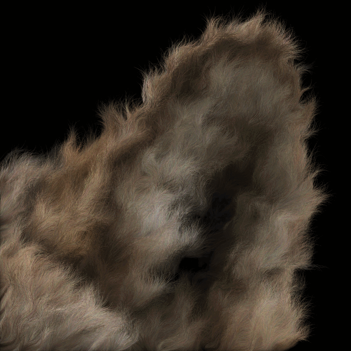 gray wolf left ear fur.gif