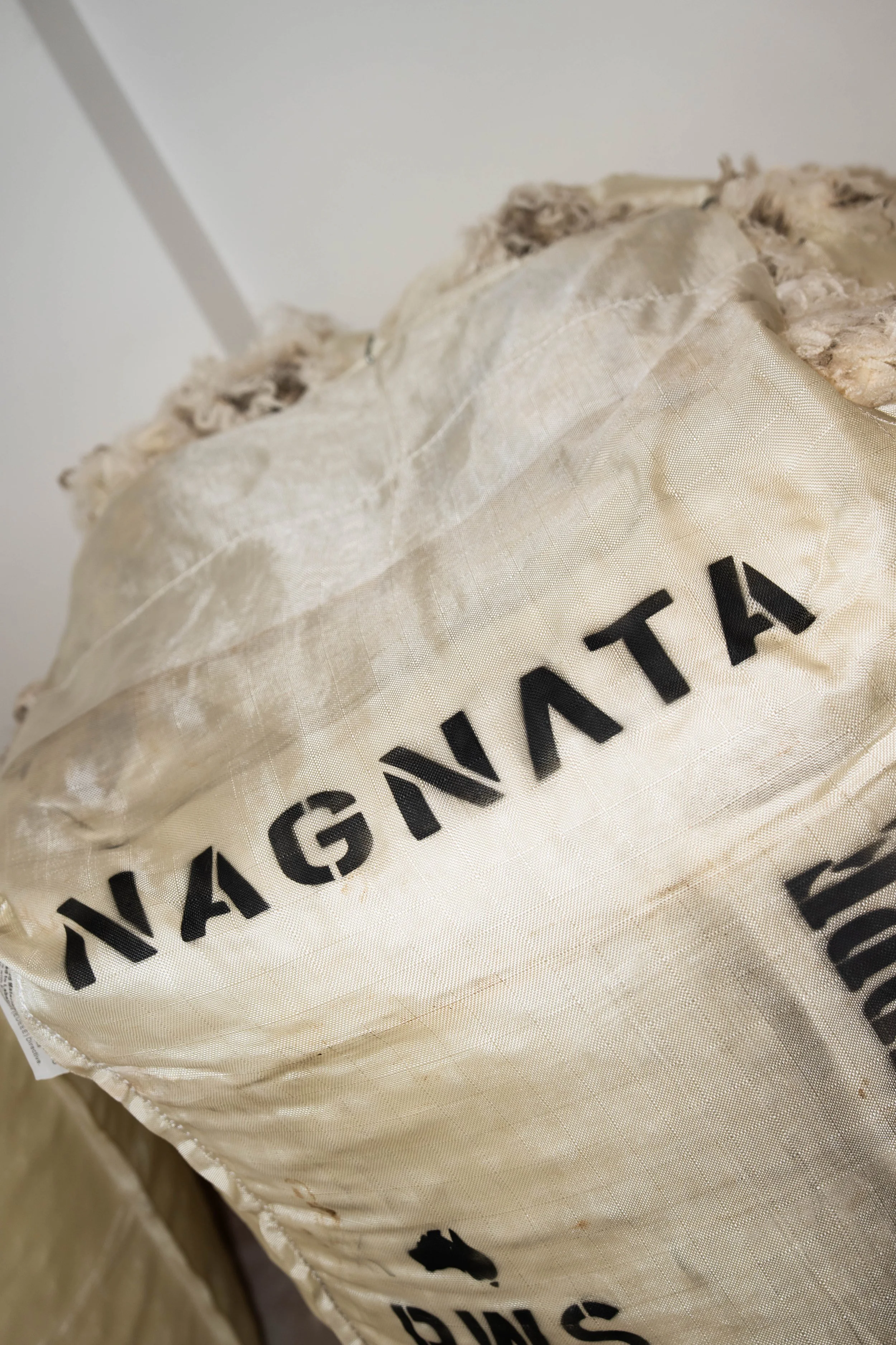 Nagnata (@claudia.tivendale) AFW-33.jpg