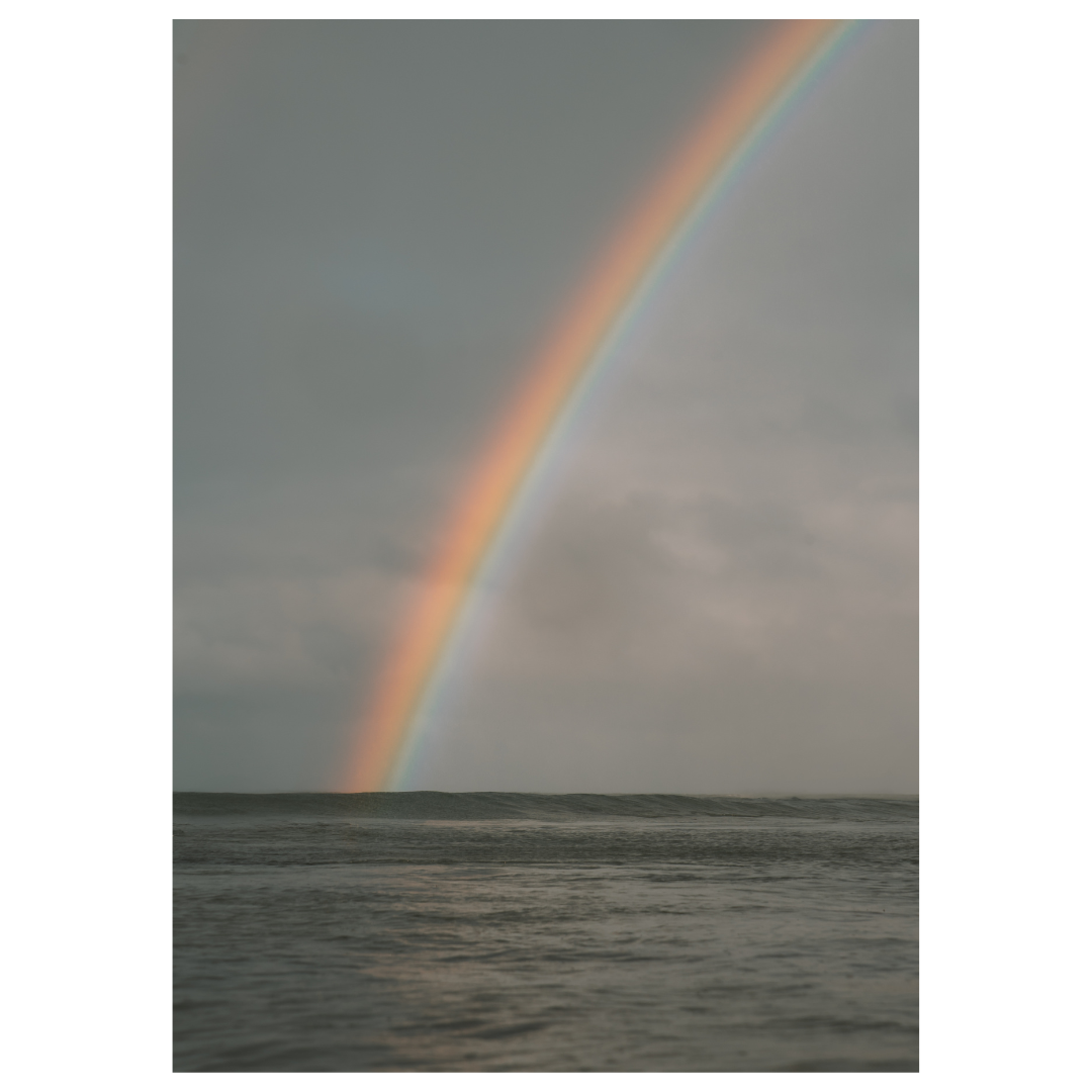 Rainbow Print