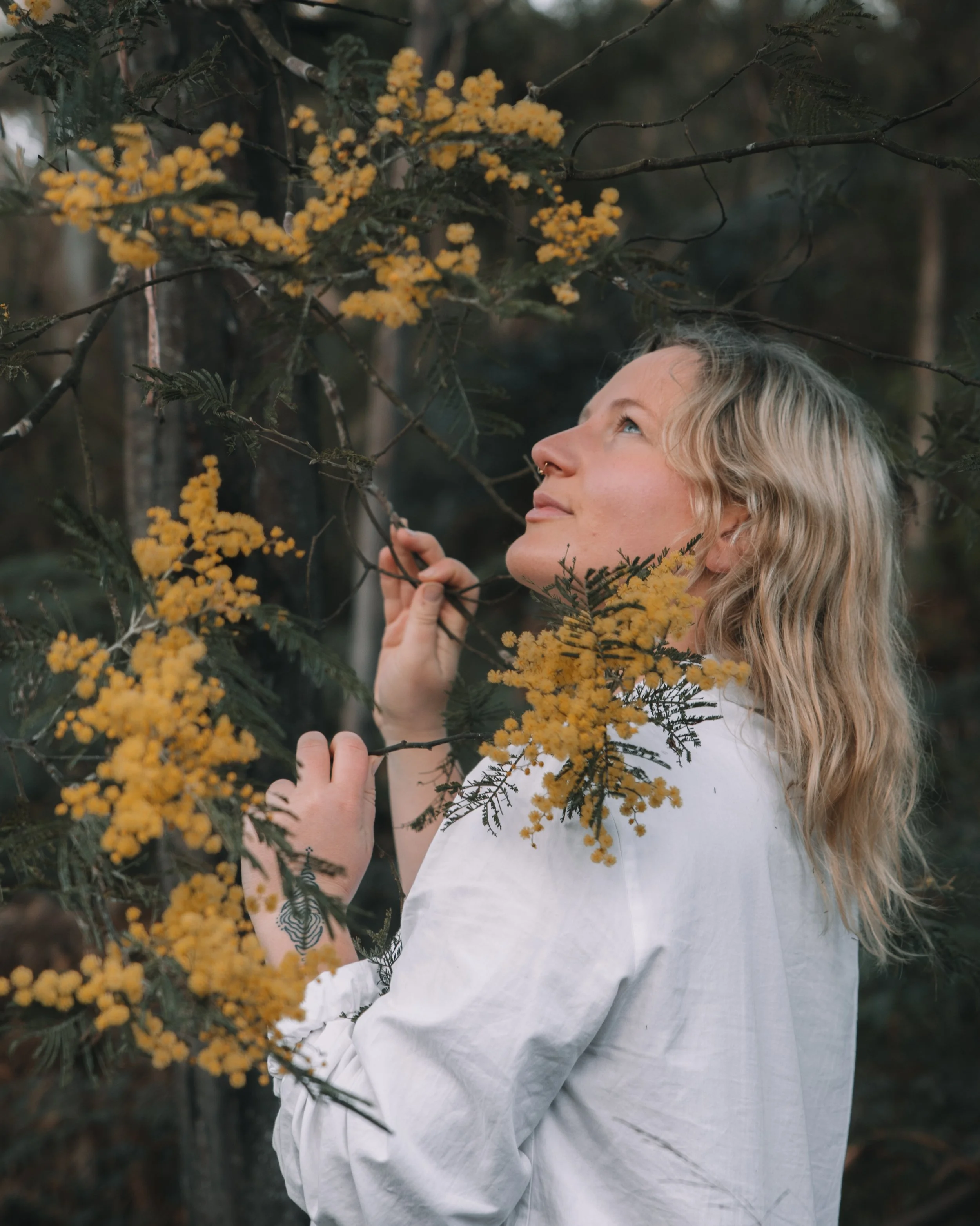 A woman with blonde wavy hair looking up while holding onto a branch with yellow flowers, surrounded by a forest background.