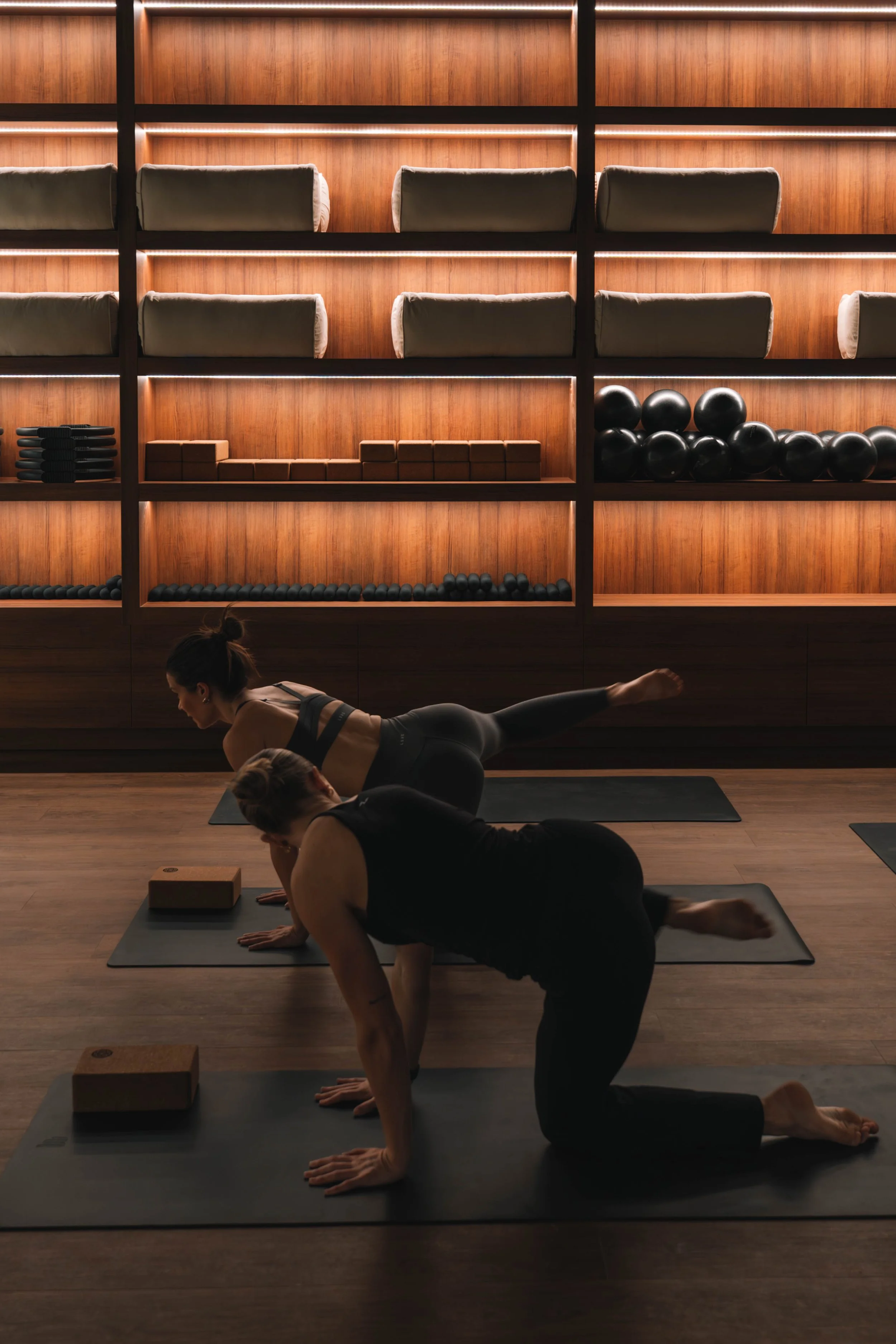 action shots (@claudia.tivendale)-93.jpg