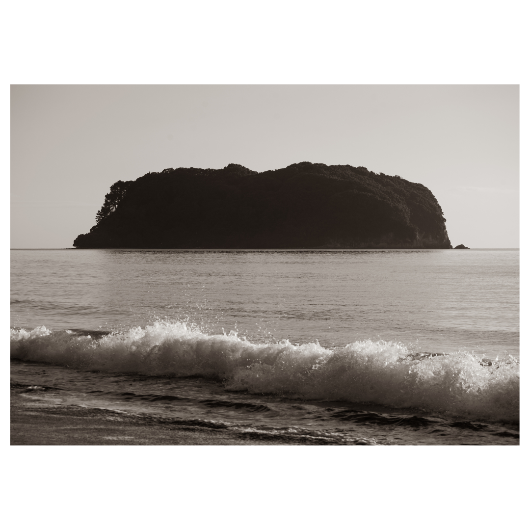 Island Boy Print