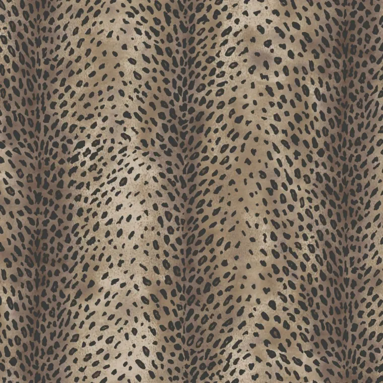 MASAI | Cocoa
