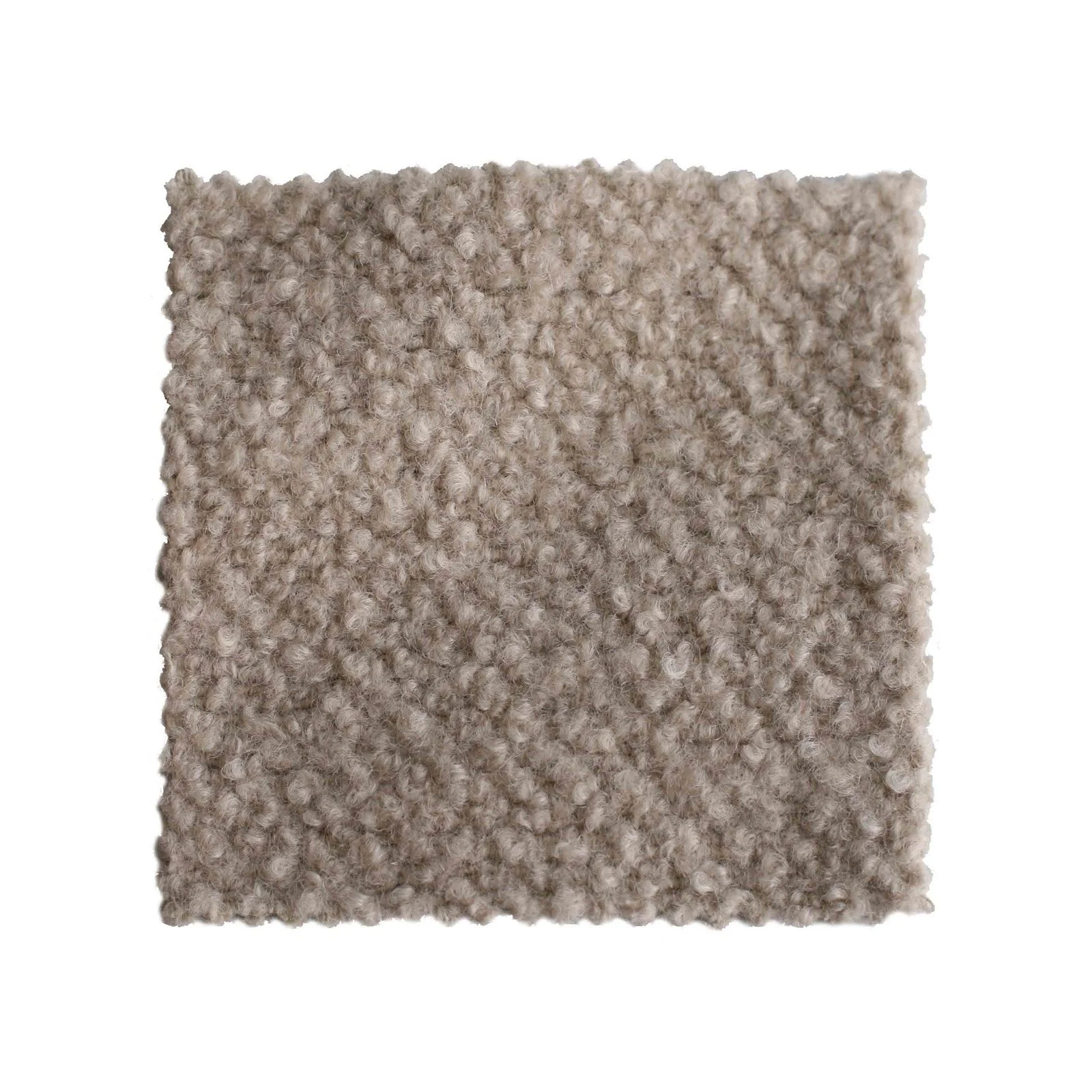 JHT38-160 | PUPPY LOVE- FIDO