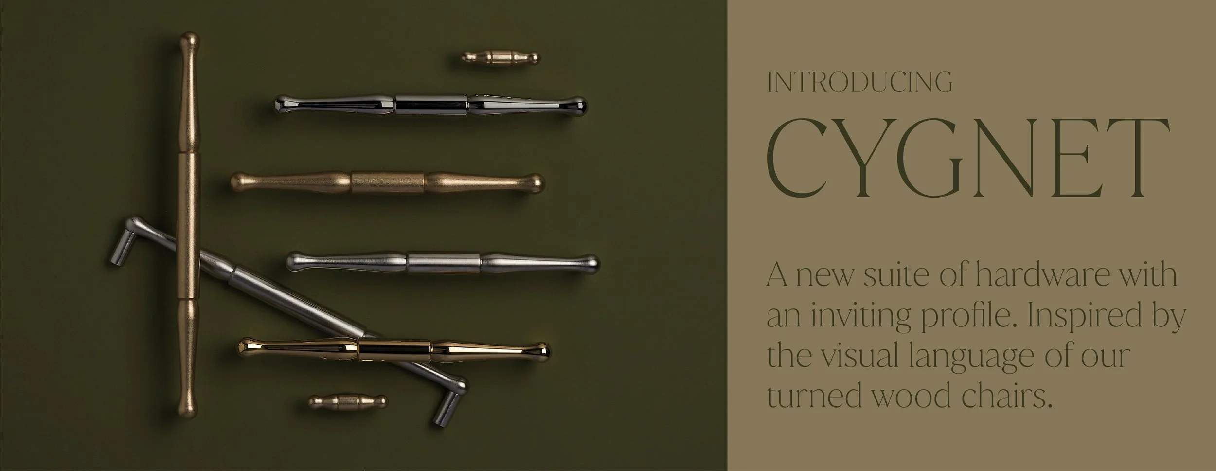 CYGNET+BANNER.jpg
