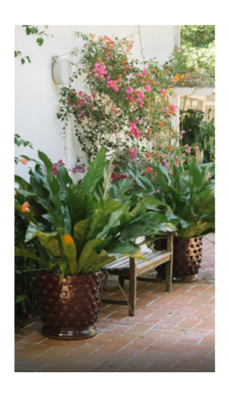 MERLOT GUMBALL PLANTERS.png