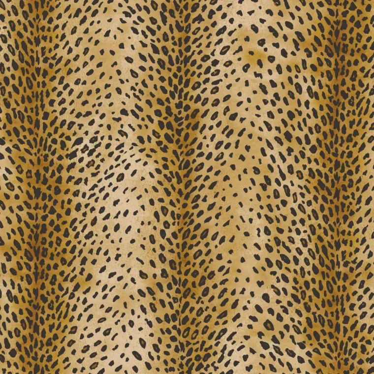 MASAI | Gold 
