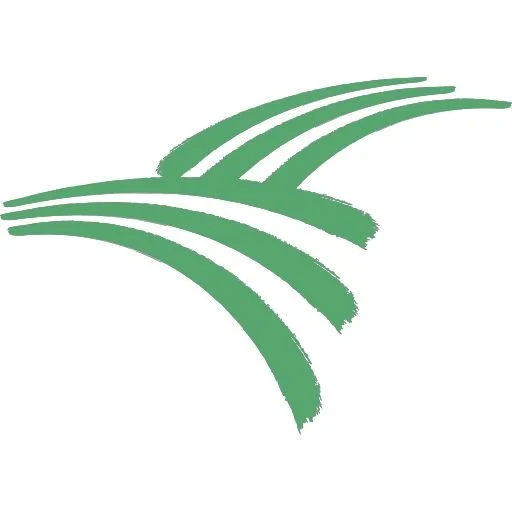 Stylized green graphic of abstract fields or grass.