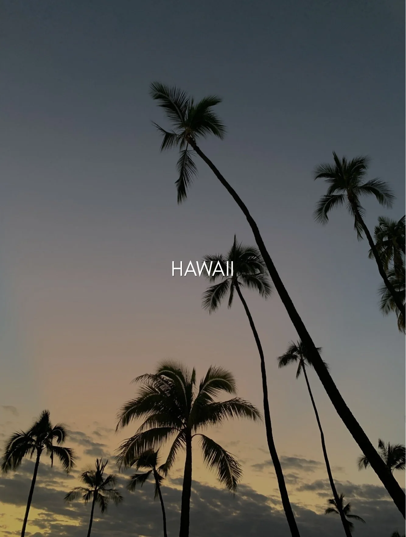 Silhouettes of palm trees against a sunset sky with clouds.