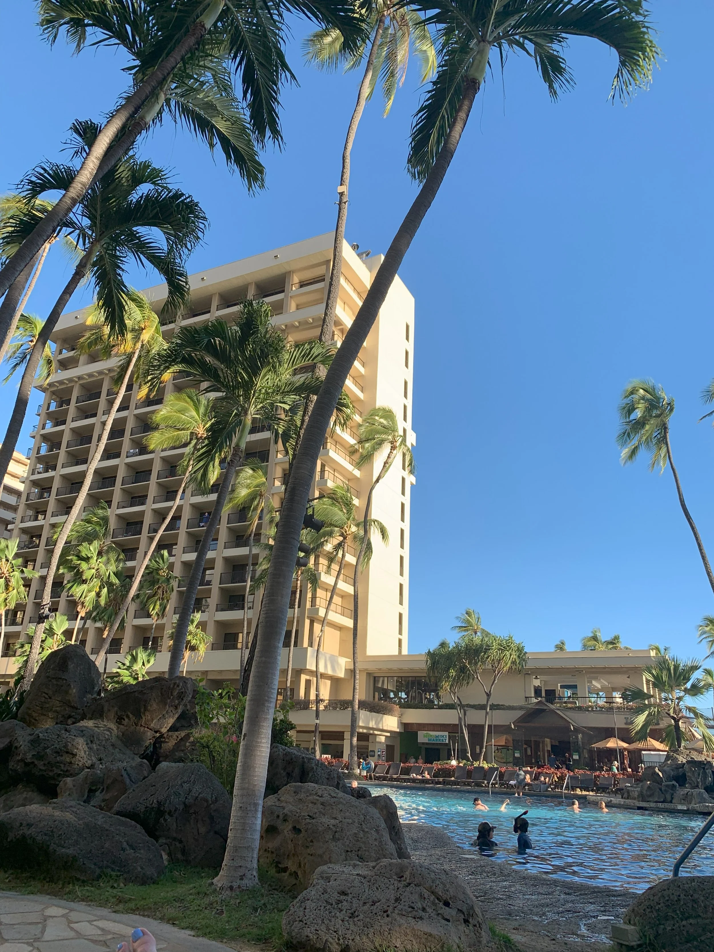 hilton 3.jpg