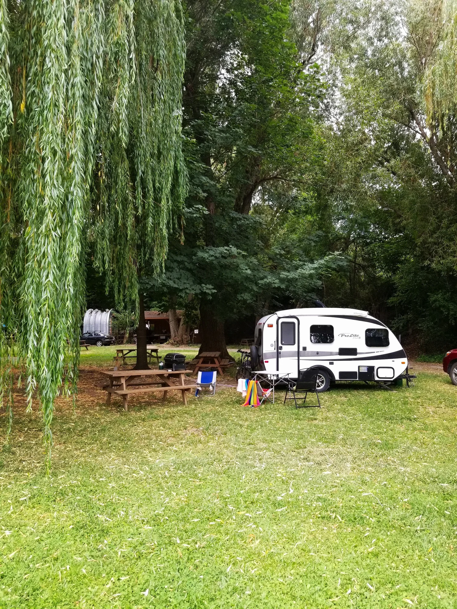 Southside Campground with willows near the beach