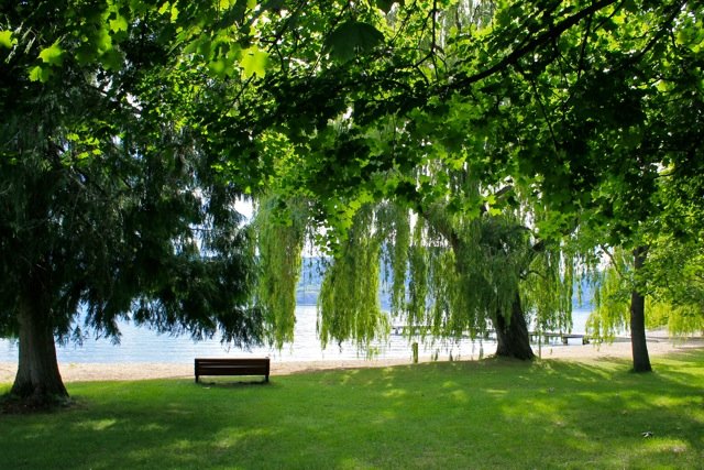 Park with green grass, trees, and a view of a lake in the background.