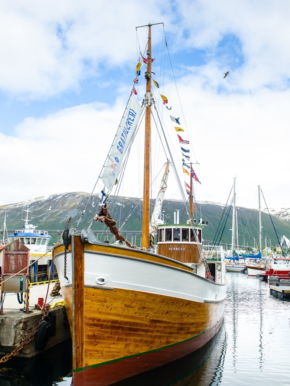 Fishing+-+and+Fjord+Cruise+with+Hermes+II+-+NTC+Showcase.jpg