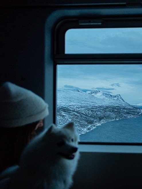 The+Arctic+Train+-+The+Ofoten+Line+-+NTC+Showcase.jpg