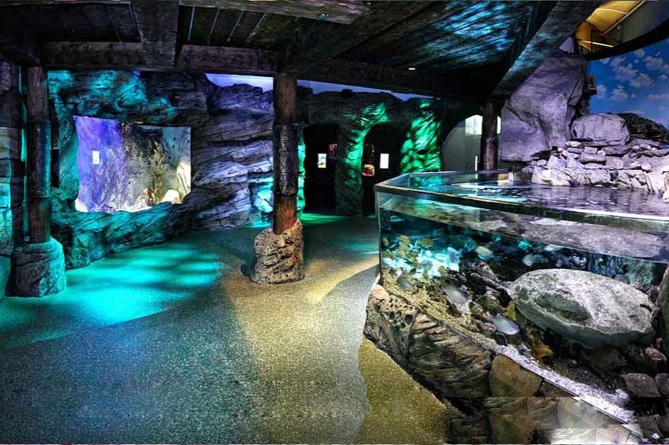 SEA+LIFE+Sydney+Aquarium+from+parents+who+travel++Baby+City+Guide.jpg