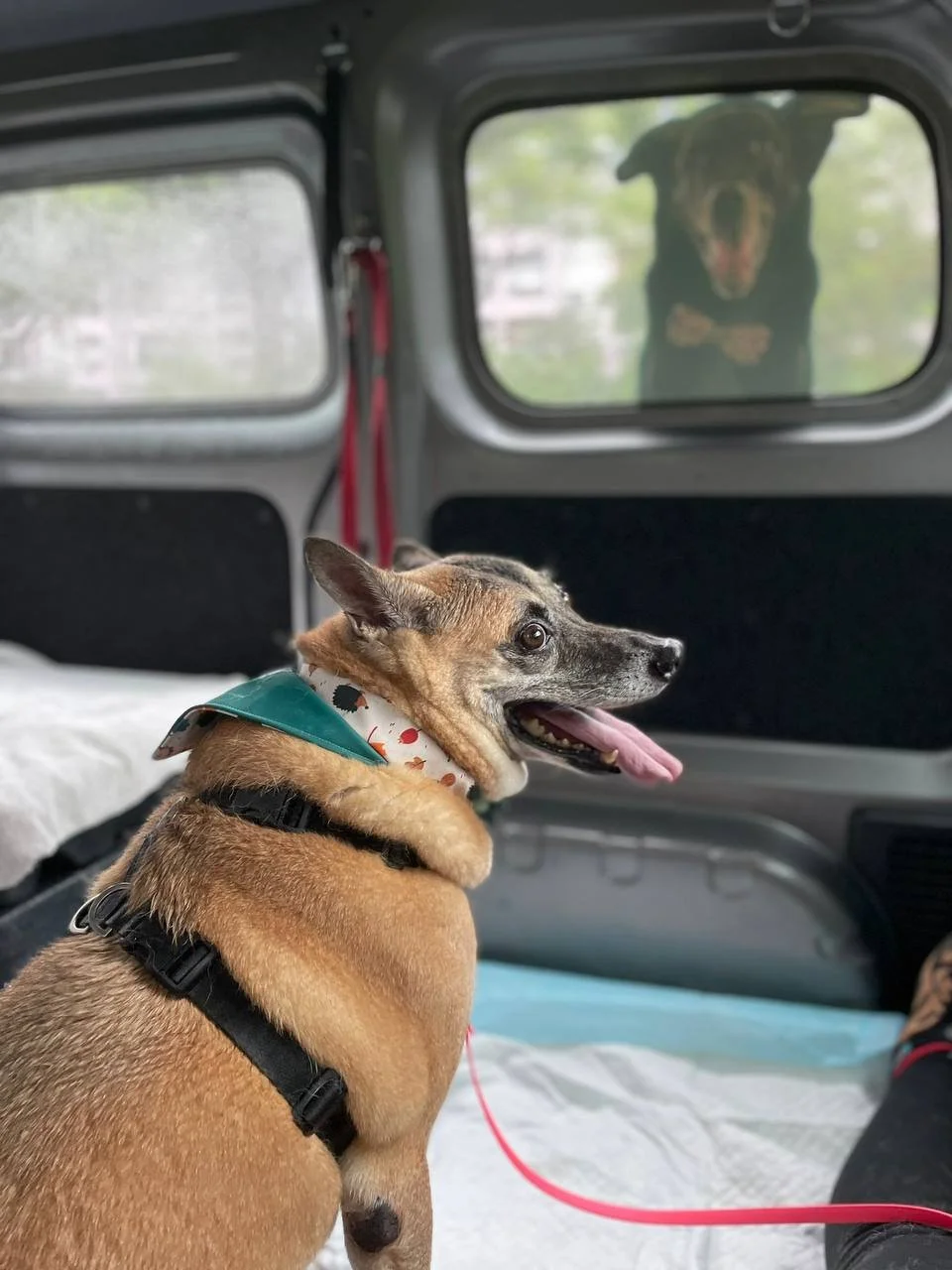 photo_2025-01-17 21.42.42.jpeg