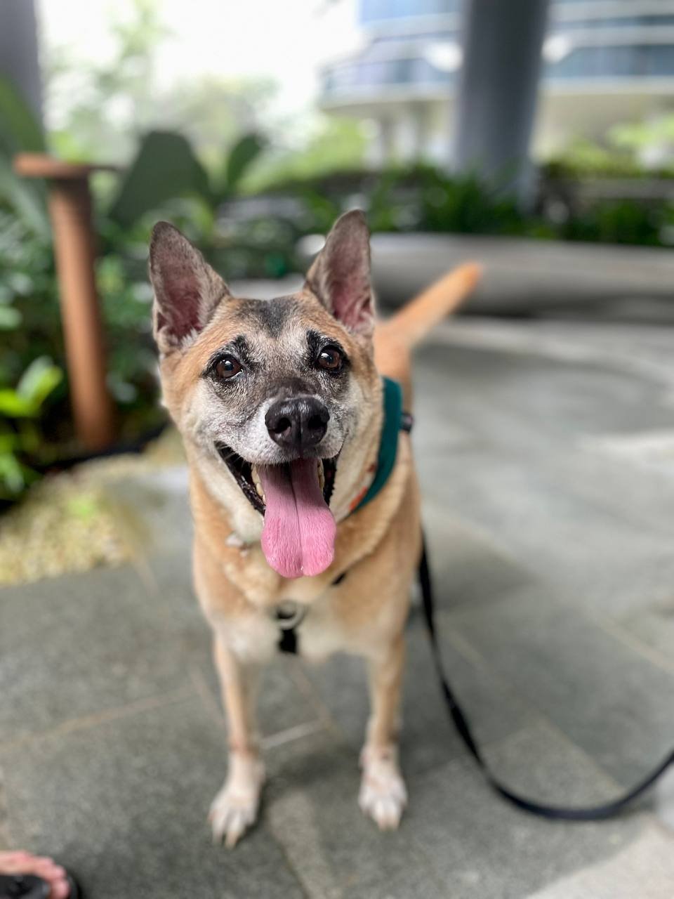 photo_2025-01-17 21.42.40.jpeg