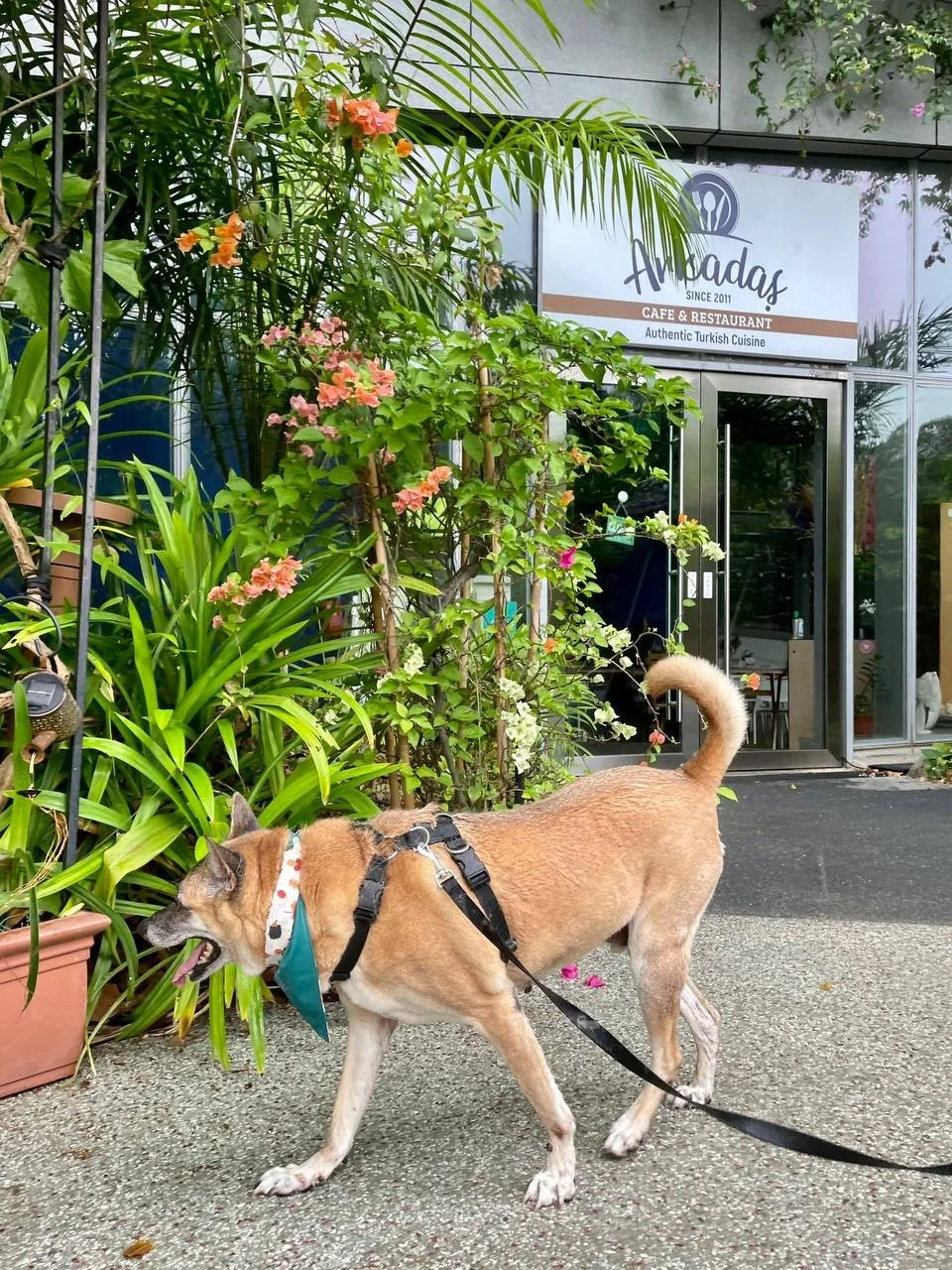 photo_2025-01-17 21.42.46.jpeg