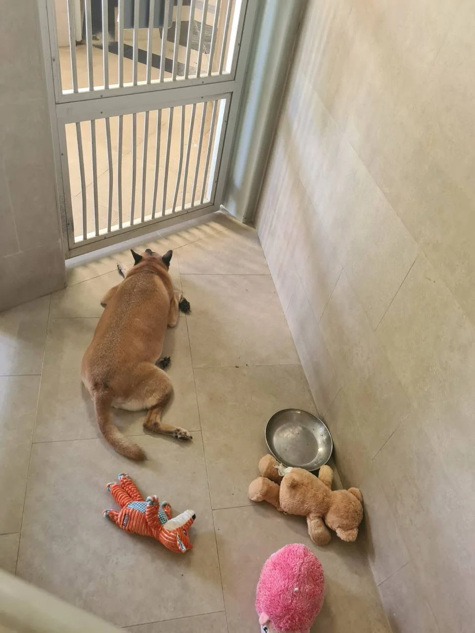 photo_2025-01-17 21.42.52.jpeg