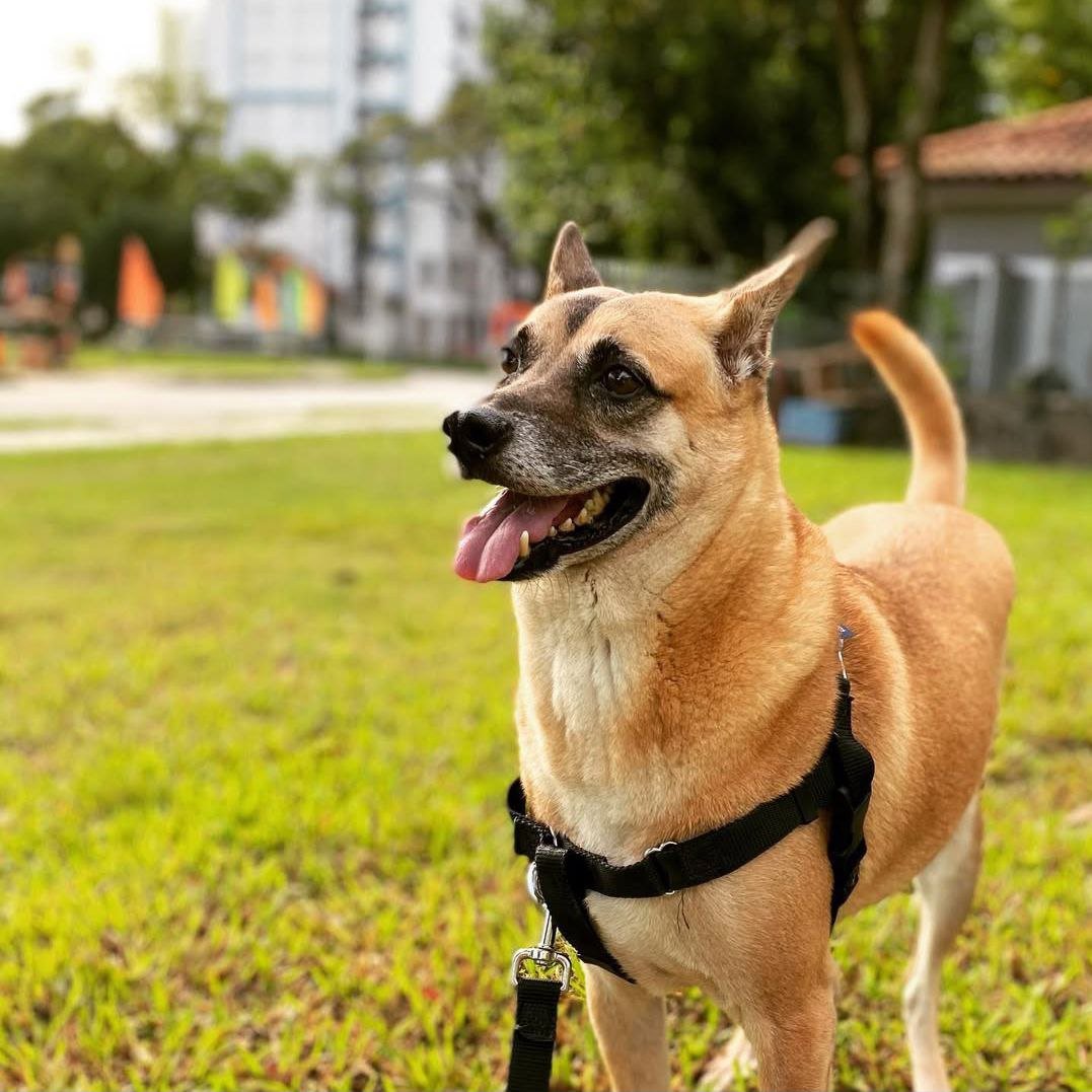 photo_2025-01-17 21.43.18.jpeg